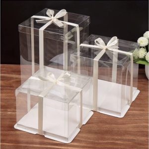 Transparent Square cake box 10x8 inches