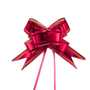 Pull Bow Ribbon 5x65cm/Each
