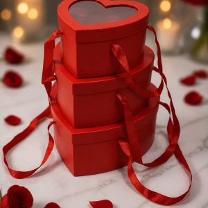 Heart Gift Box With Top Window + Handles Small 18.4x17.8x10cm